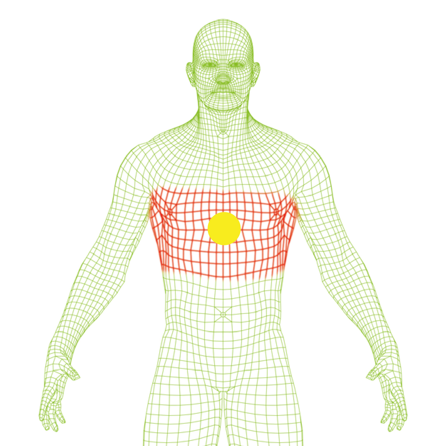 fascia-torso-ologramma